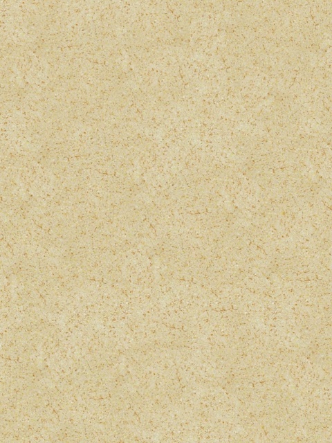 Belka B1 - Tapeta Creme, Nowoczesna aranżacja ścian