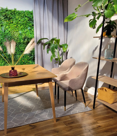 ZOYA-2 Chair With Armrests
